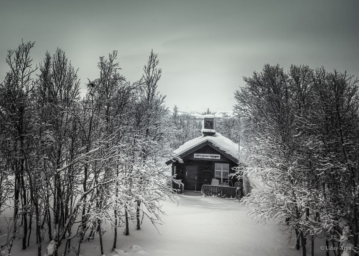 lonely-cottage-sweden