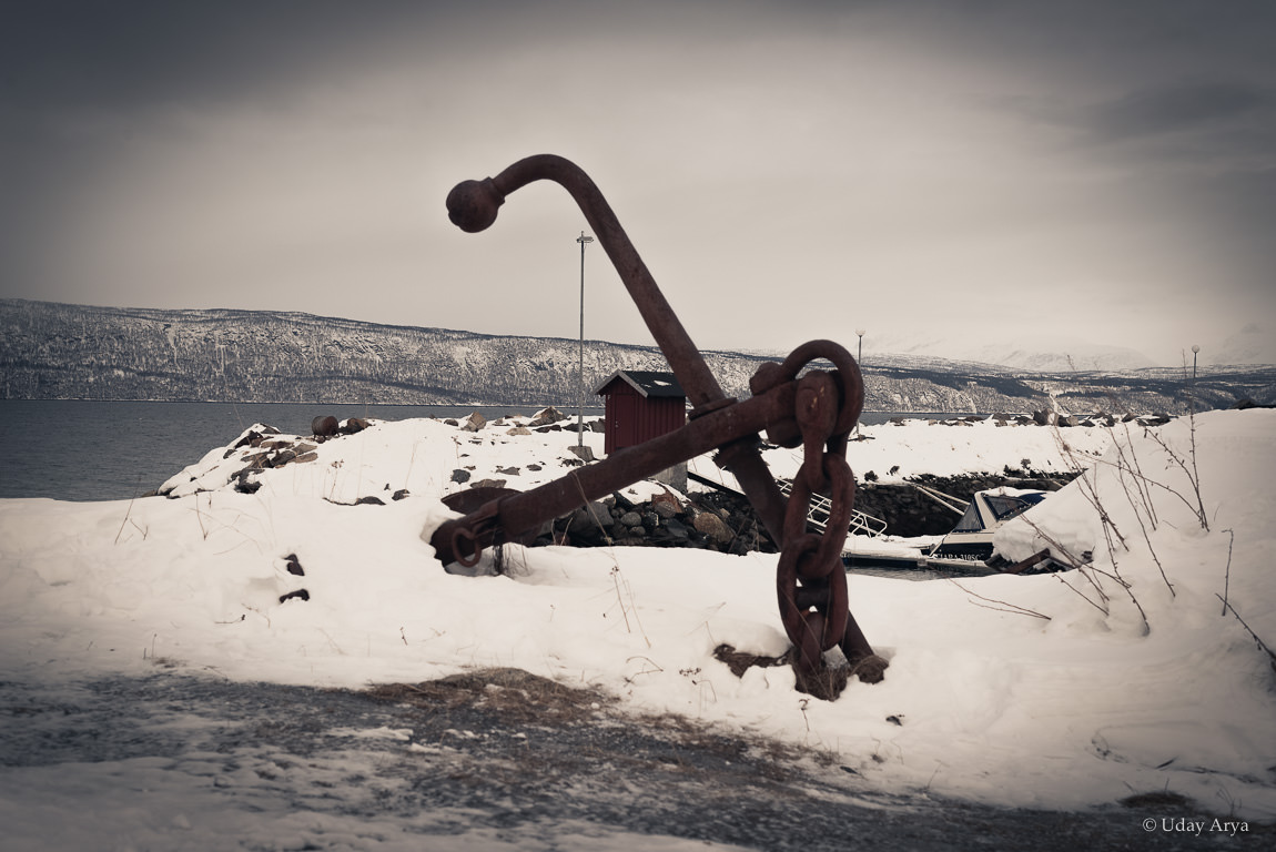 narvik-harbor